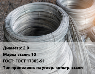 Проволока углеродистая 2.9 Сталь: 10 ГОСТ: ГОСТ 17305-91 из углер. констр. стали цена По запросу где купить, условия доставки в Актобе и Актюбинской области